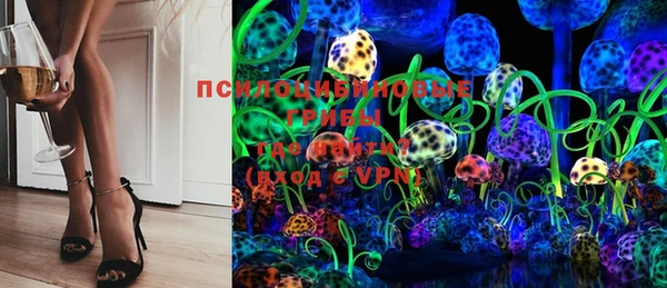 PSILOCYBIN Абаза