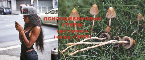 PSILOCYBIN Абаза